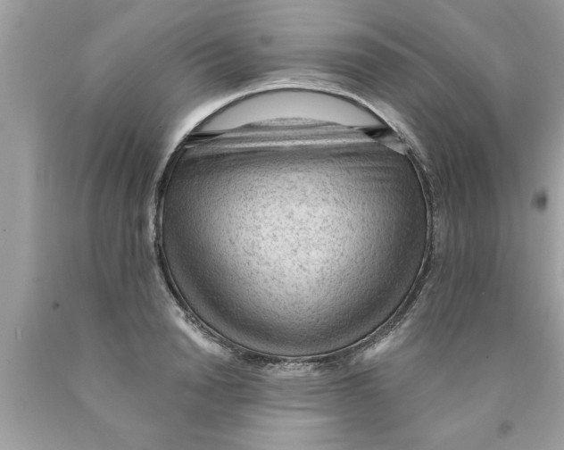 X0000089860846200707262126