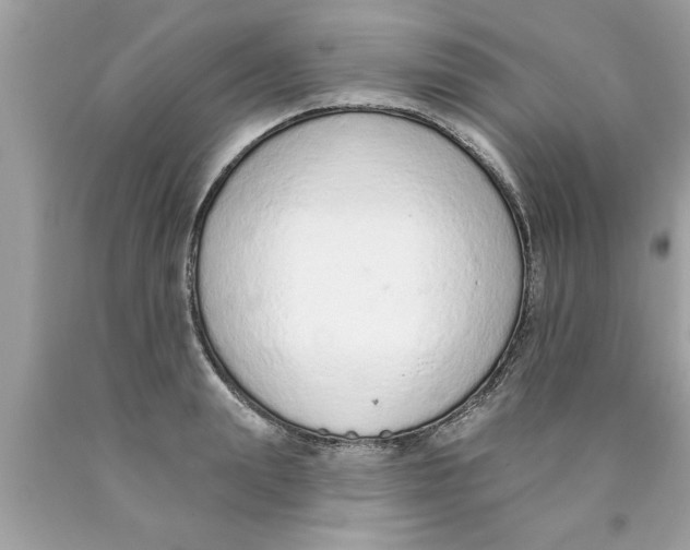 X0000089860847200707262126