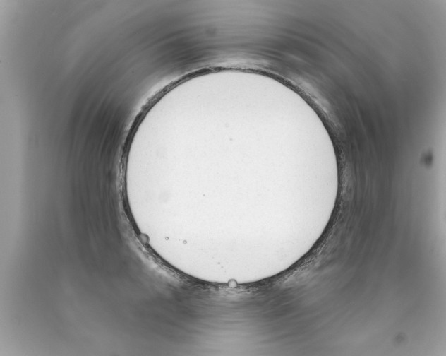 X0000089860848200707262126