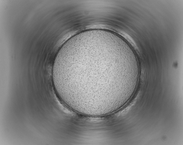 X0000089860849200707262126