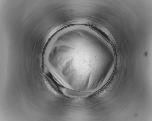 X0000089860850200707262126