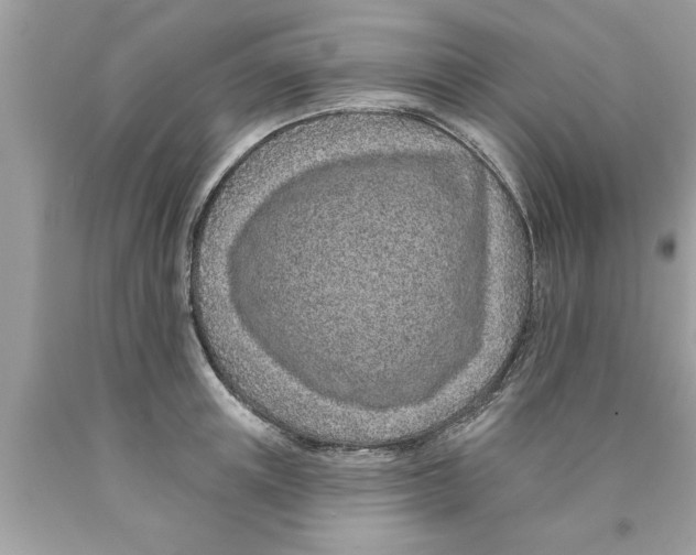 X0000089860851200707262126