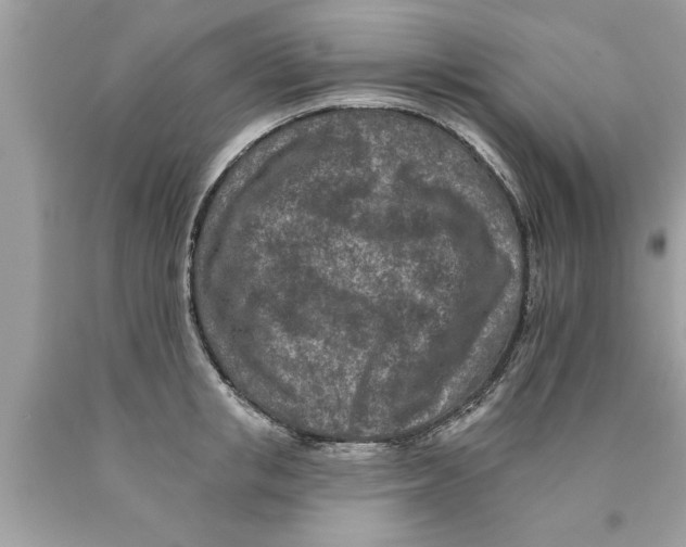 X0000089860853200707262126