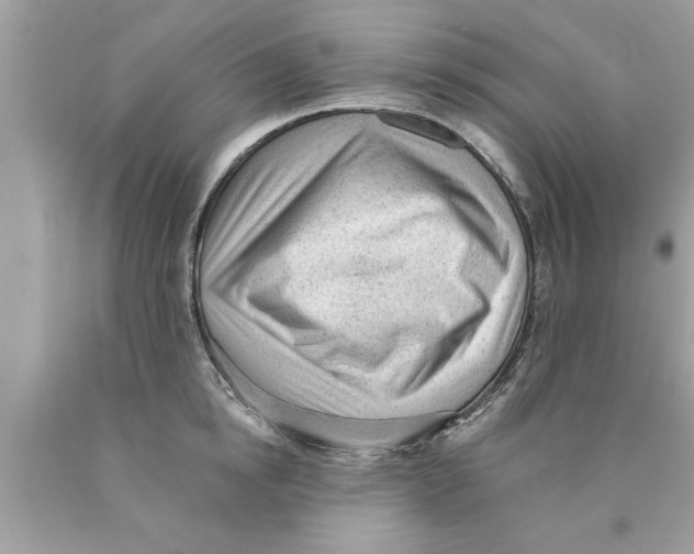 X0000089860854200707262126