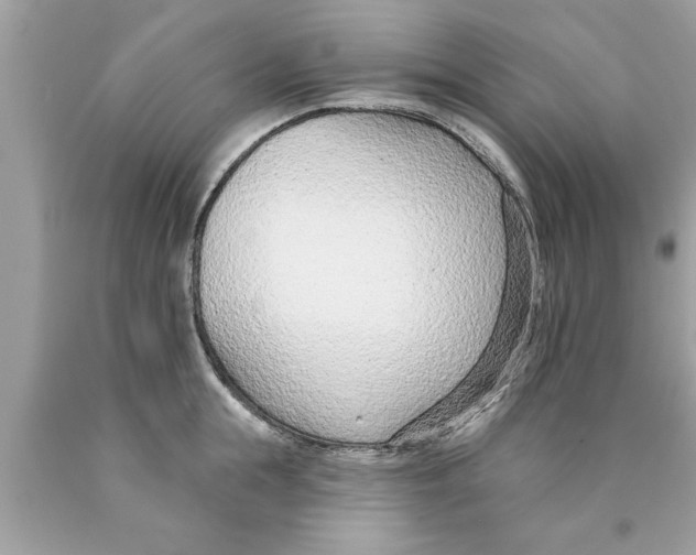X0000089860855200707262126