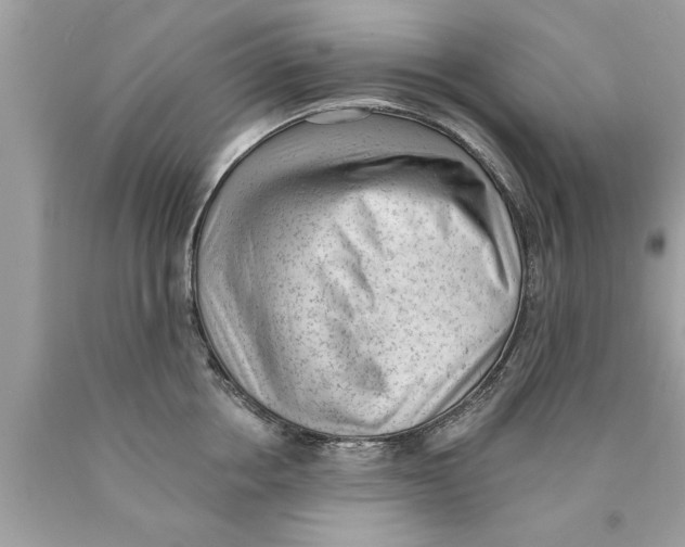 X0000089860858200707262126