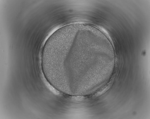 X0000089860859200707262126