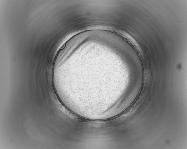 X0000089860860200707262126