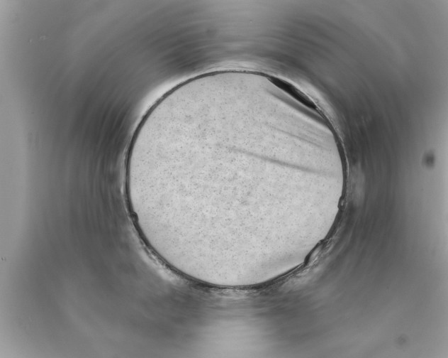X0000089860862200707262126
