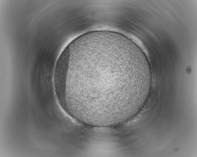 X0000089860863200707262126