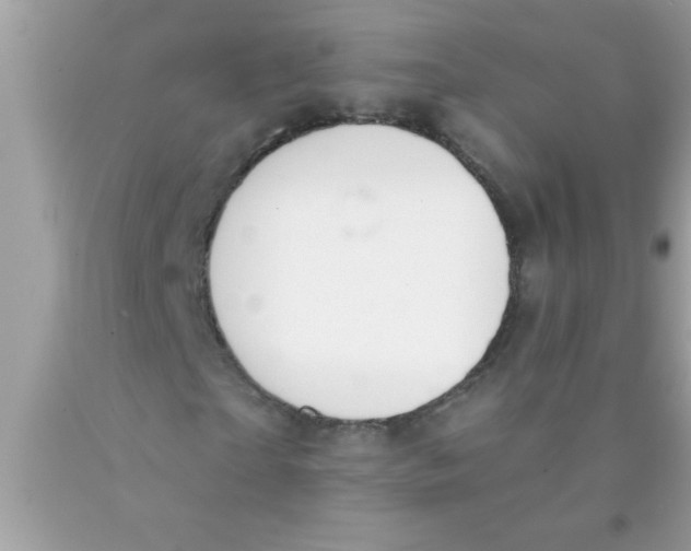 X0000089860865200707262126