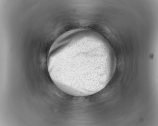 X0000089860866200707262126