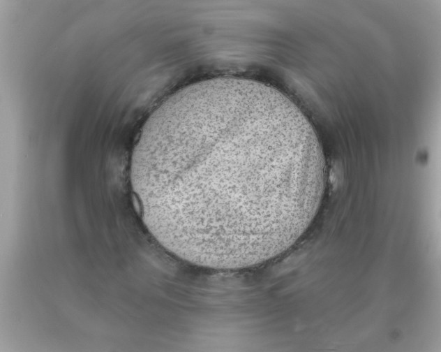 X0000089860867200707262126
