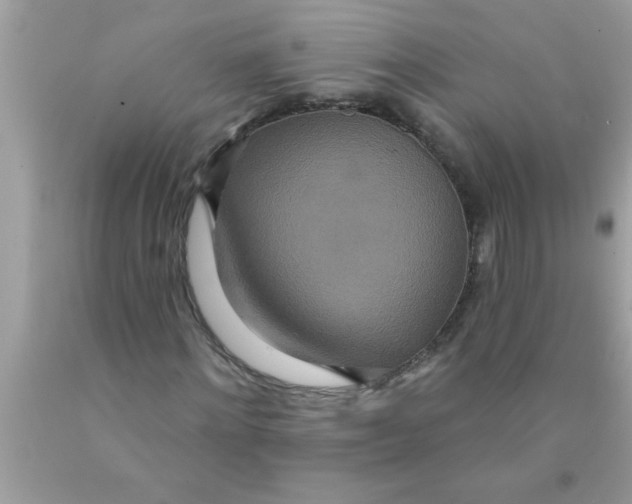 X0000089860868200707262126