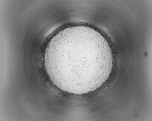 X0000089860871200707262126