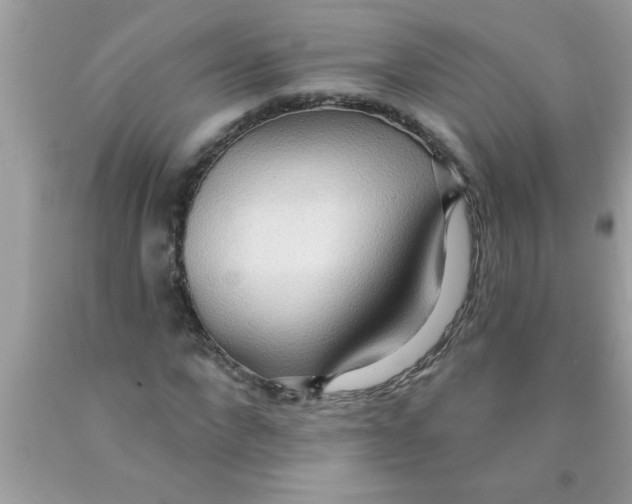 X0000089860872200707262126