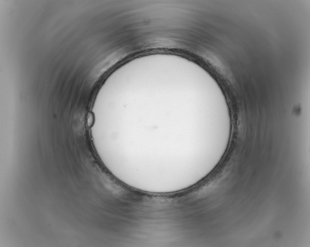 X0000089860873200707262126