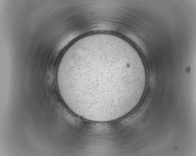 X0000089860874200707262126