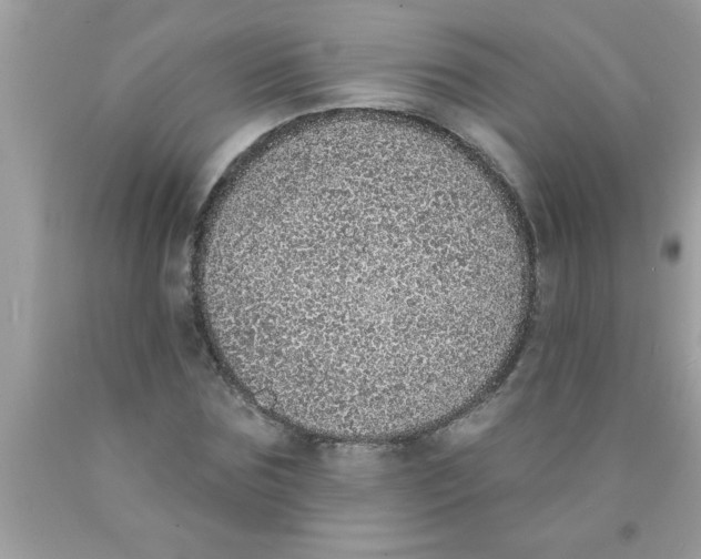 X0000089860875200707262126