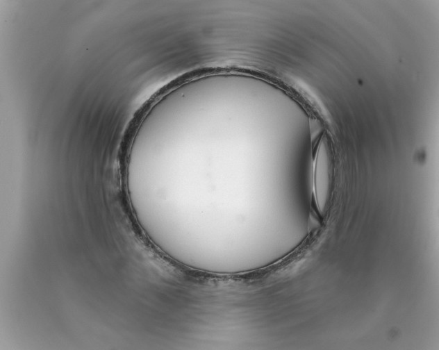 X0000089860876200707262126