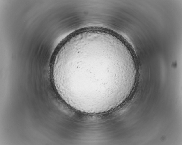 X0000089860879200707262126