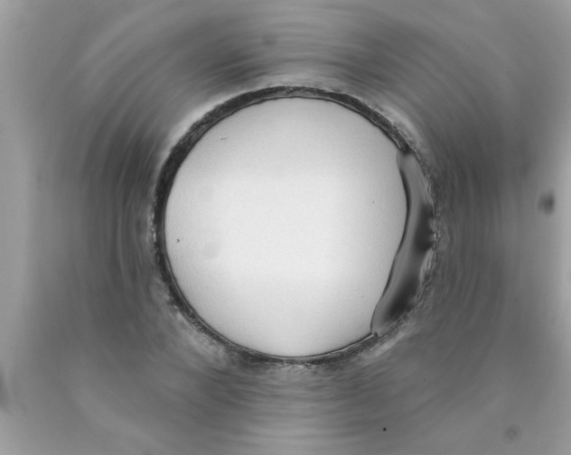 X0000089860880200707262126