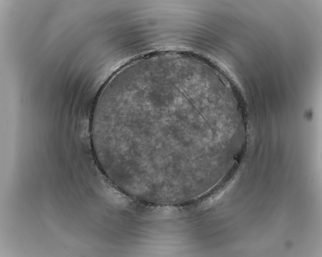X0000089860881200707262125