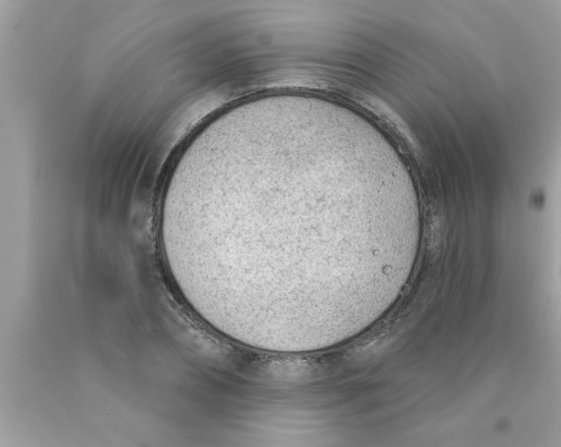 X0000089860882200707262125