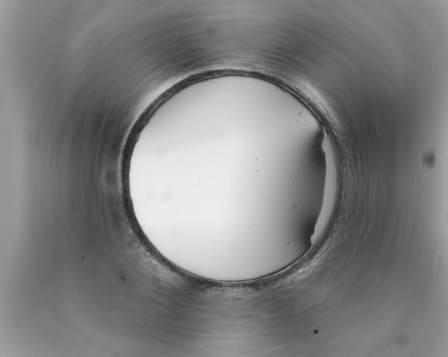X0000089860884200707262125