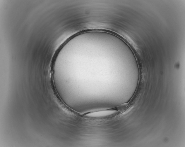 X0000089860885200707262125