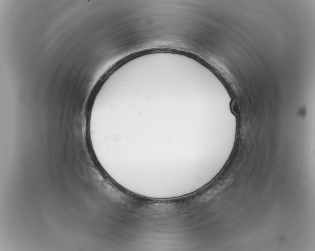 X0000089860888200707262125