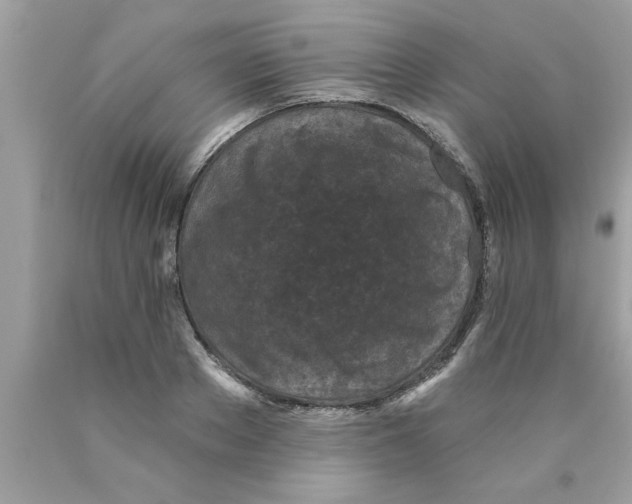 X0000089860889200707262125