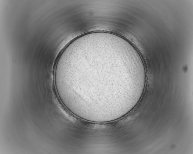 X0000089860890200707262125