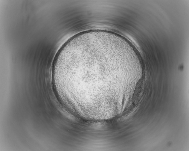 X0000089860891200707262125