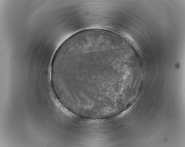 X0000089860892200707262125