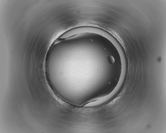 X0000089860893200707262125