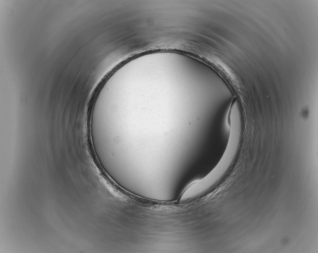 X0000089860894200707262125