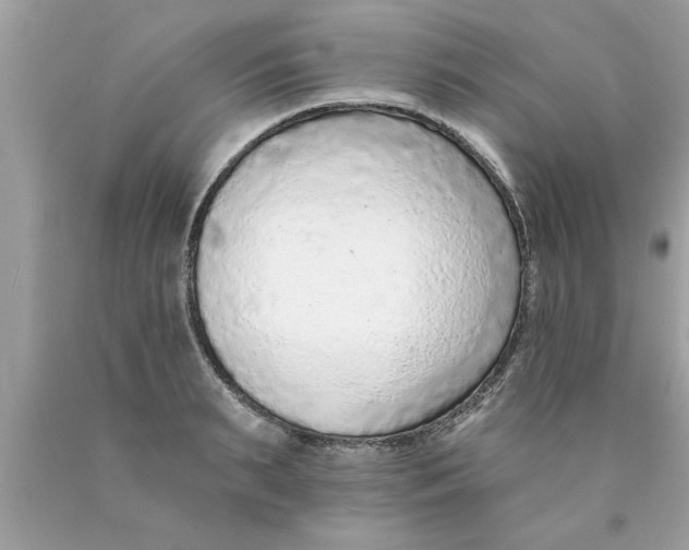 X0000089860895200707262125