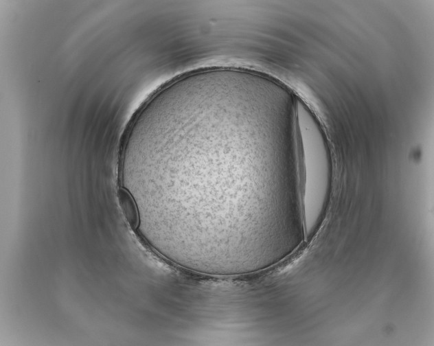 X0000089860896200707262125