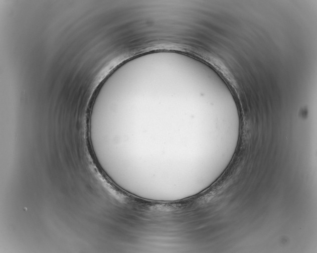 X0000089860898200707262125