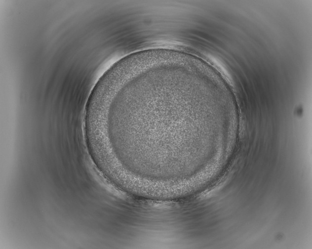 X0000089860899200707262125