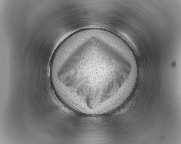 X0000089860900200707262125