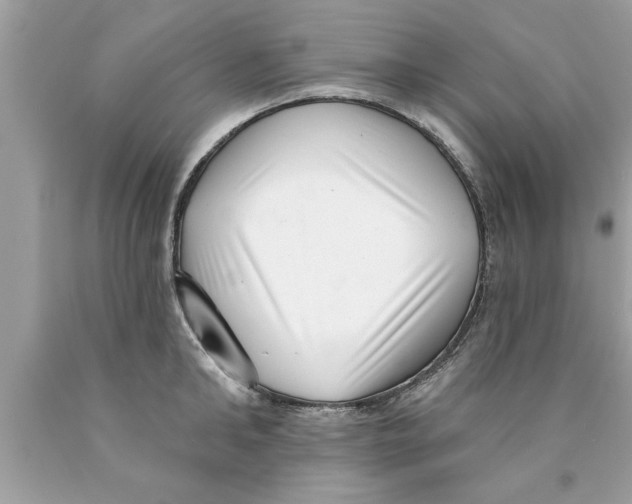 X0000089860902200707262125