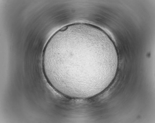 X0000089860903200707262125