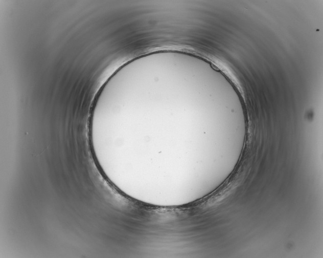 X0000089860906200707262125