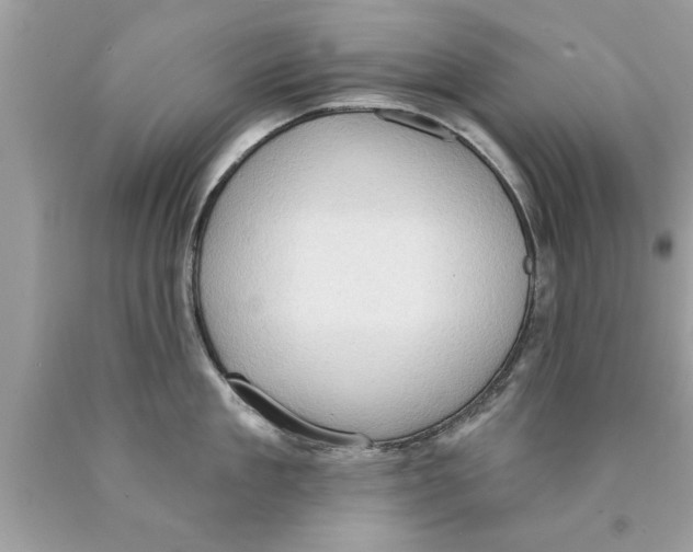 X0000089860909200707262125