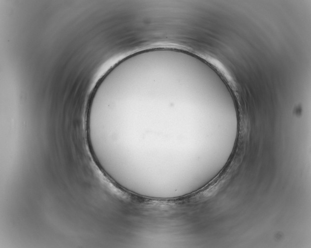 X0000089860910200707262125