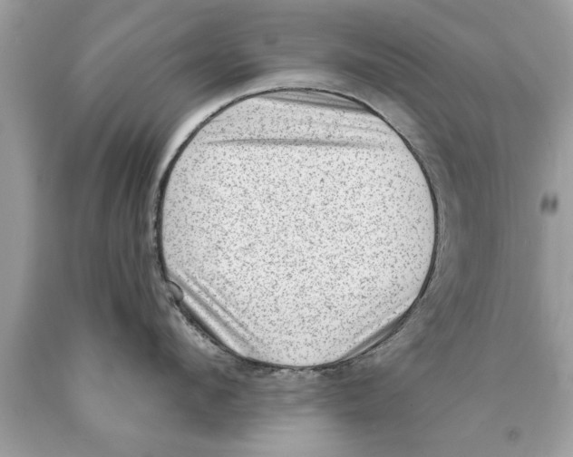 X0000089860912200707262125