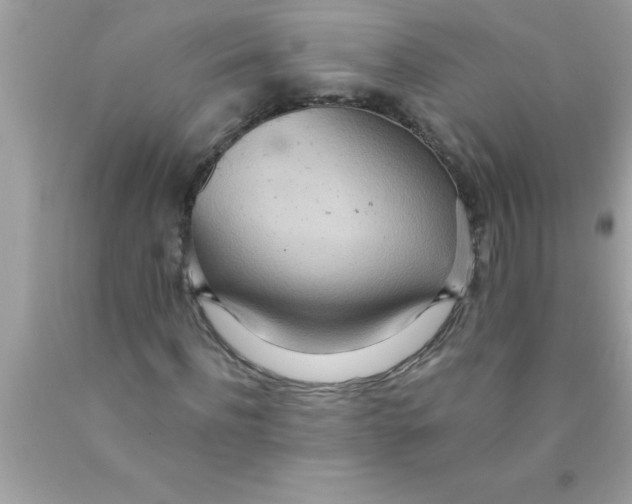 X0000089860916200707262125