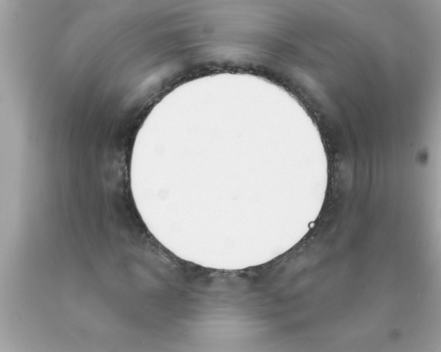 X0000089860918200707262125